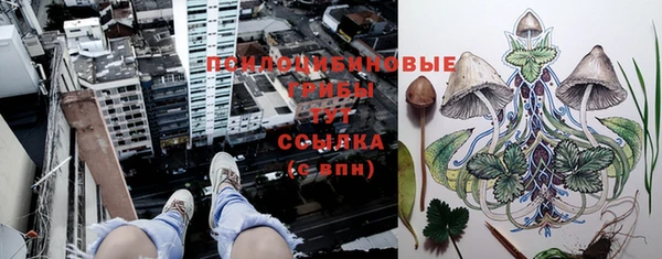 2c-b Абаза
