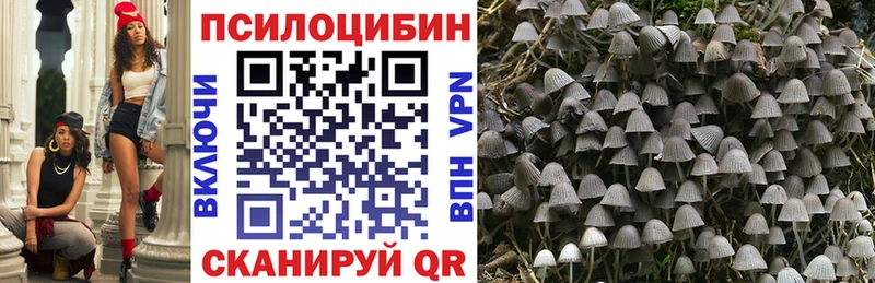 площадка как зайти  Тбилисская  Галлюциногенные грибы GOLDEN TEACHER  наркошоп 